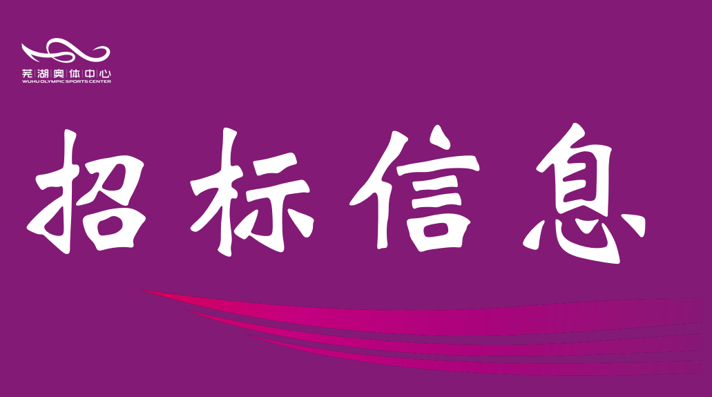 市b体育公司2026年排水管网维保服务询比采购公告
